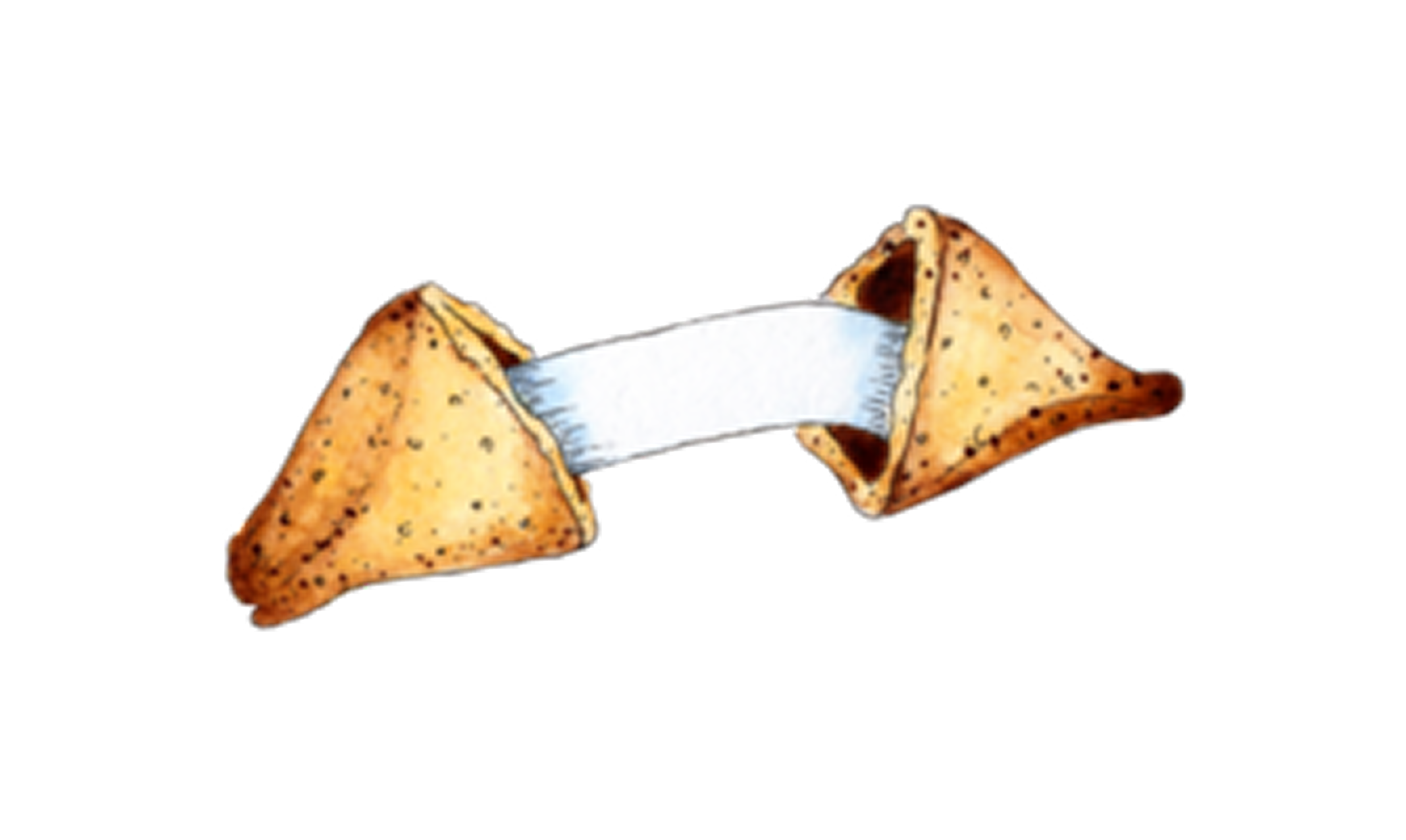 Opened Fortune Cookie
